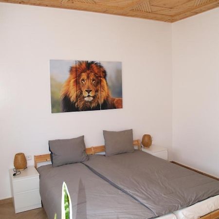 Dar Makai Surf Hotel Tamraght Екстериор снимка