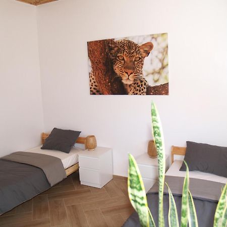 Dar Makai Surf Hotel Tamraght Екстериор снимка