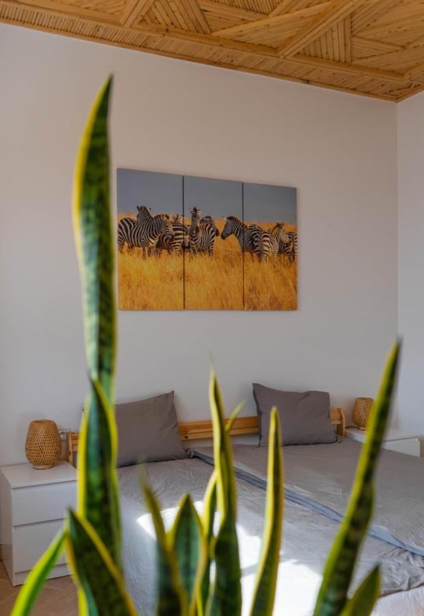 Dar Makai Surf Hotel Tamraght Екстериор снимка