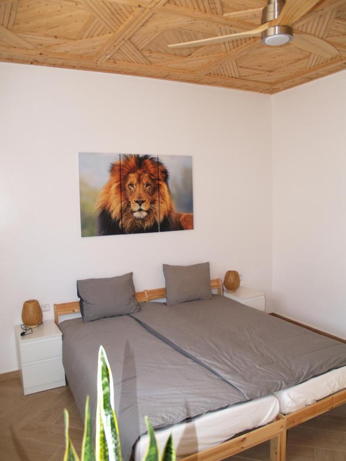 Dar Makai Surf Hotel Tamraght Екстериор снимка